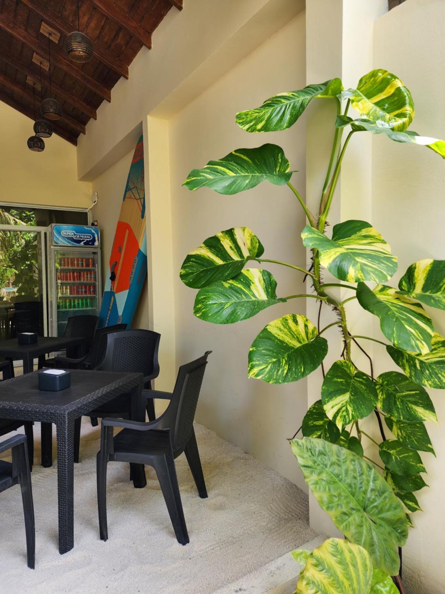 فندق Dhigurah Dhonveli Boutique المظهر الخارجي الصورة